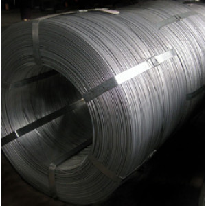 Катанка 5,5 мм